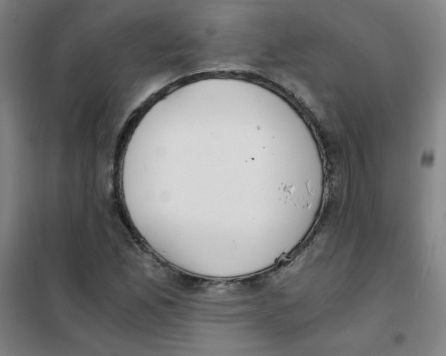 X0000101391165200808041010
