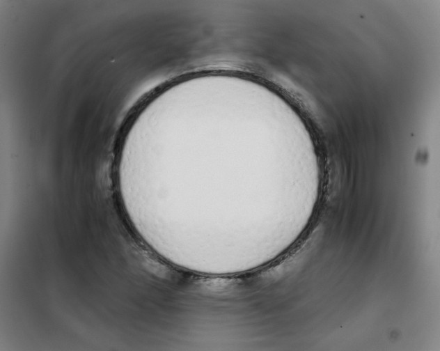 X0000101391166200808041010
