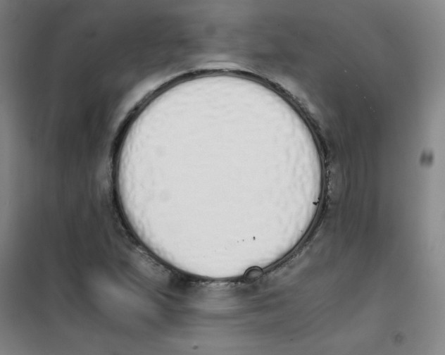 X0000101391167200808041010