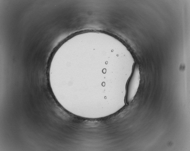 X0000101391168200808041010