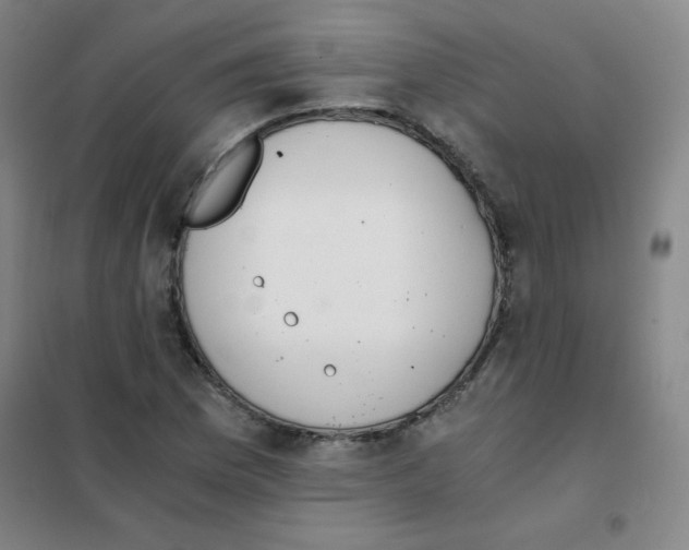 X0000101391169200808041010