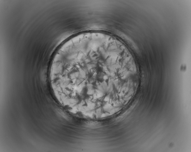X0000101391170200808041010