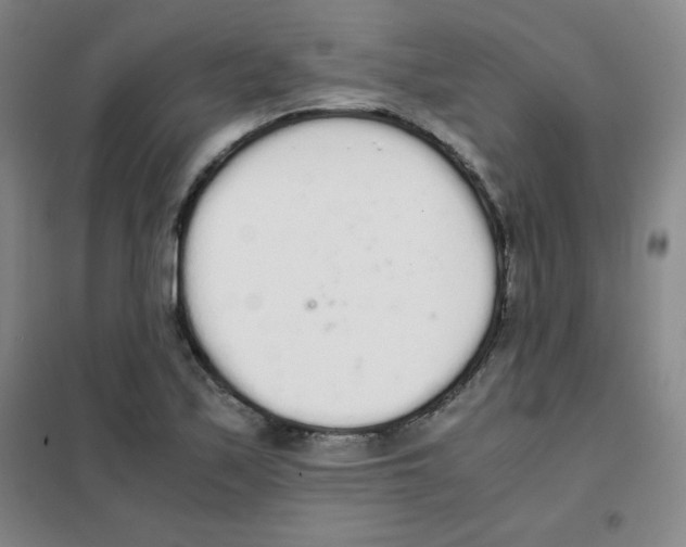 X0000101391171200808041010