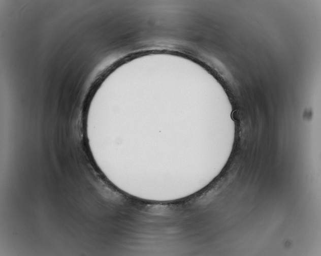 X0000101391172200808041010
