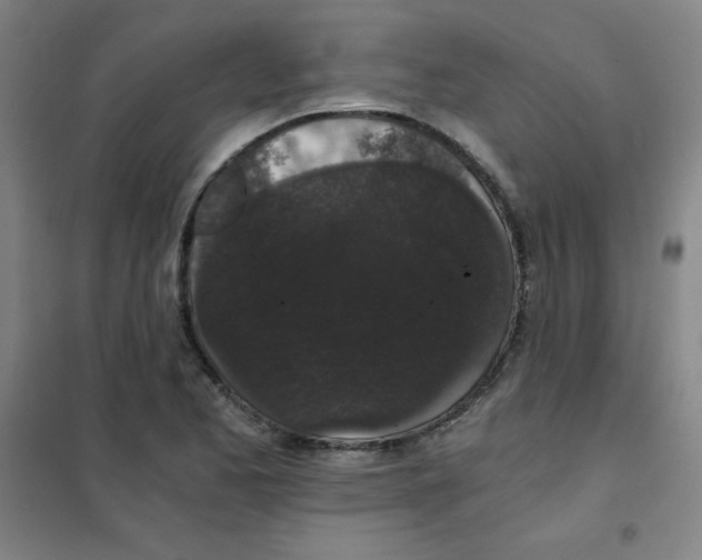X0000101391173200808041010