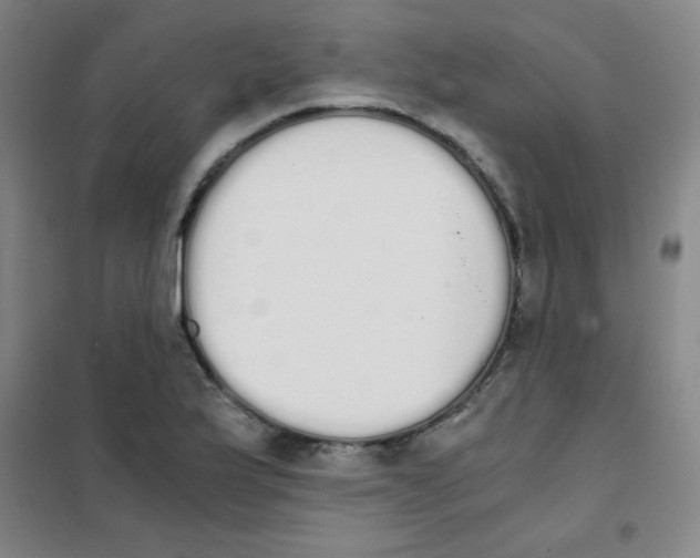 X0000101391175200808041010