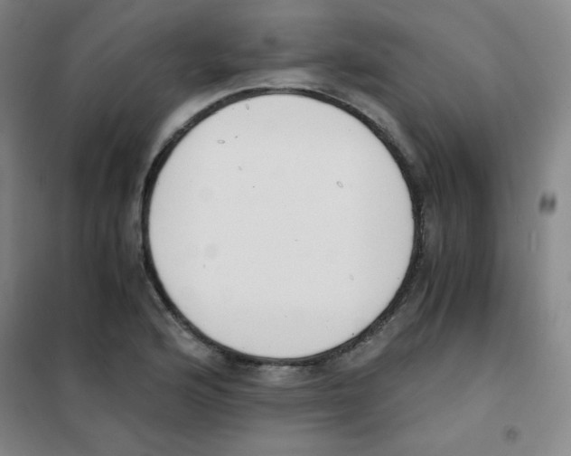 X0000101391176200808041010