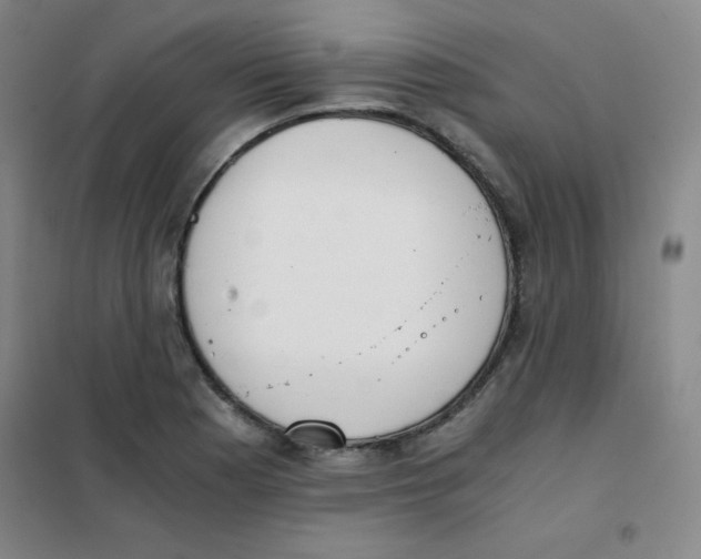 X0000101391177200808041010