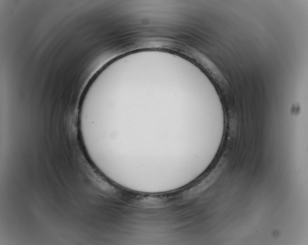 X0000101391178200808041010