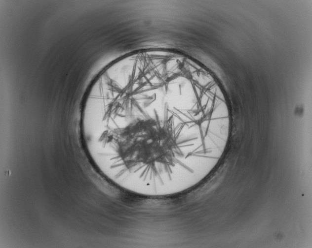 X0000101391179200808041010