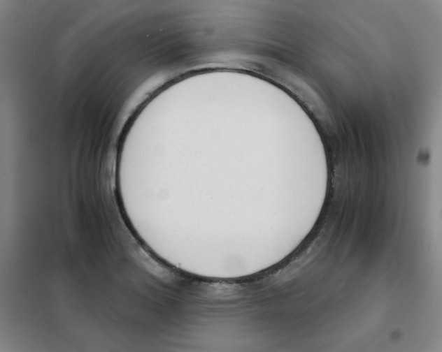 X0000101391180200808041010