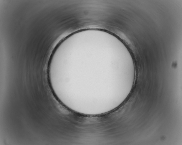 X0000101391181200808041010