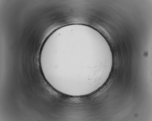 X0000101391182200808041010