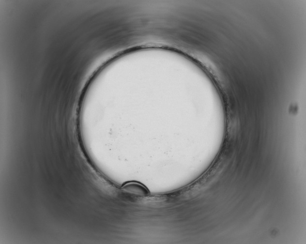 X0000101391183200808041010