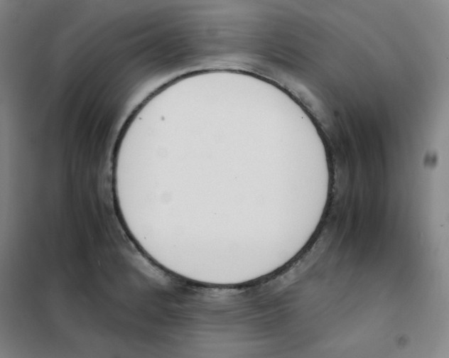 X0000101391184200808041010
