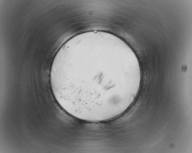 X0000101391185200808041010
