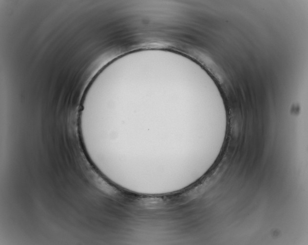X0000101391186200808041010
