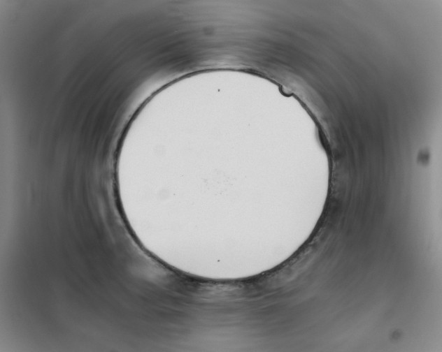 X0000101391187200808041010