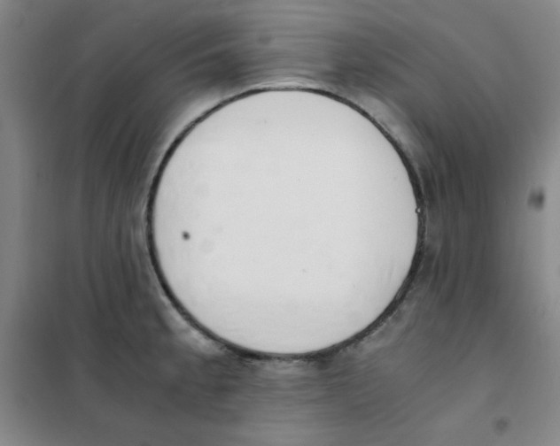 X0000101391189200808041010