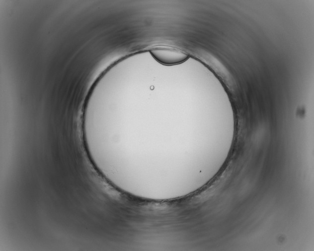 X0000101391190200808041010
