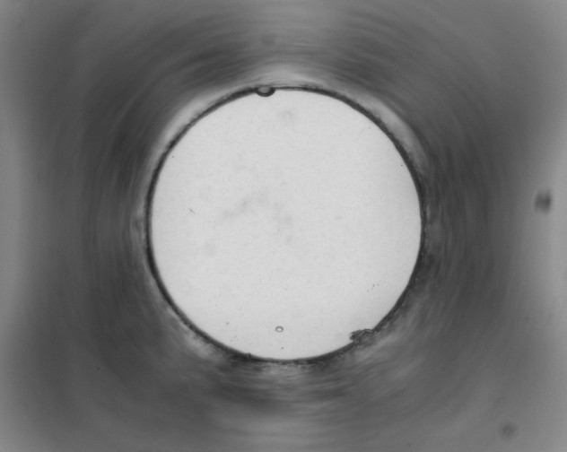 X0000101391191200808041010