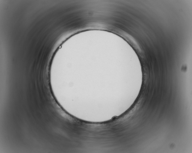 X0000101391192200808041010
