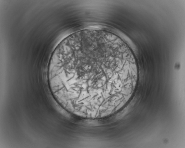 X0000101391194200808041010