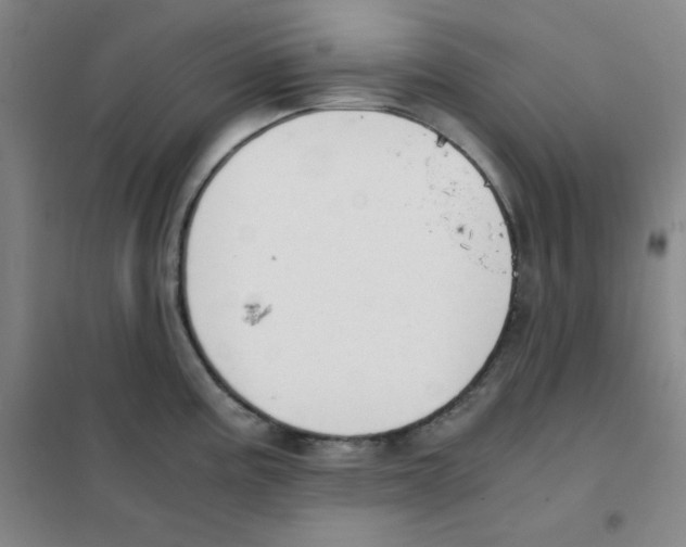X0000101391195200808041009