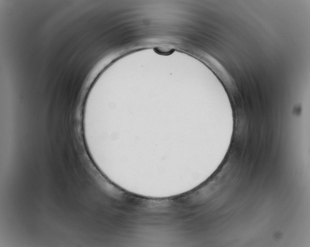 X0000101391196200808041009