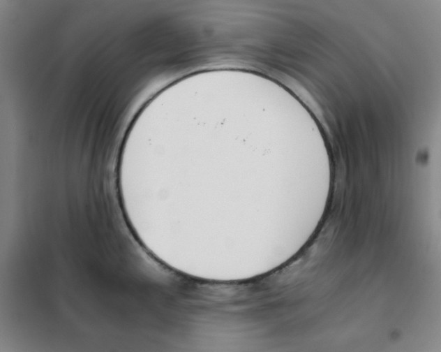 X0000101391197200808041009