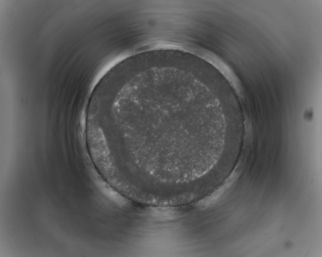 X0000101391198200808041009