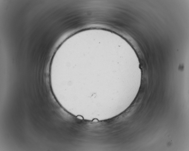 X0000101391199200808041009