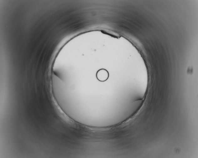 X0000101391200200808041009