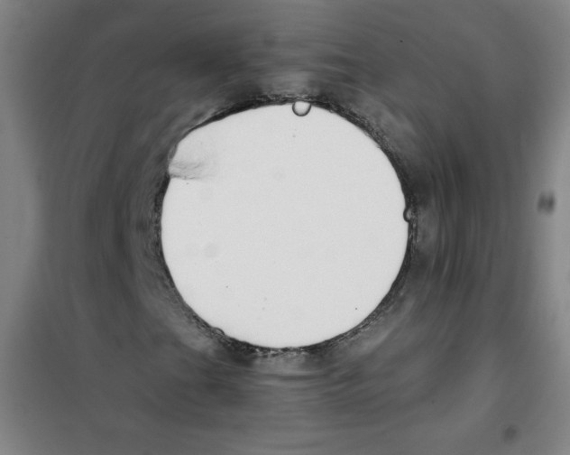 X0000101391201200808041009