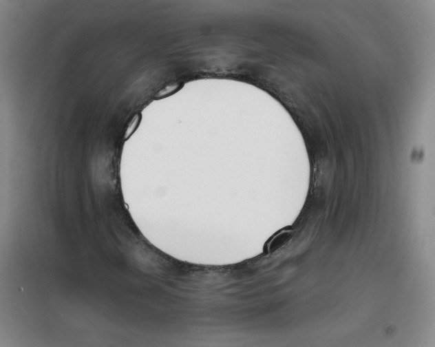 X0000101391202200808041009
