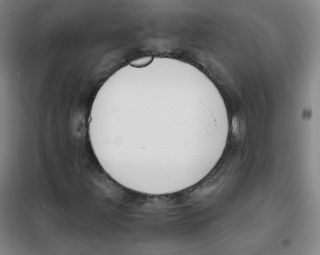 X0000101391203200808041009