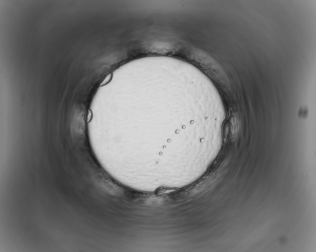 X0000101391204200808041009