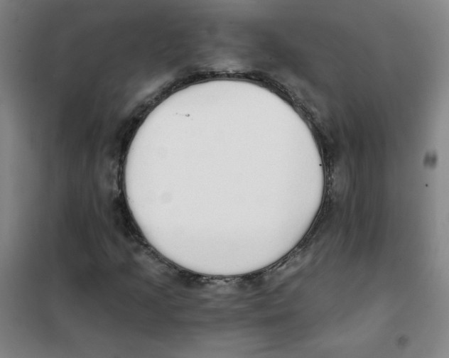 X0000101391205200808041009