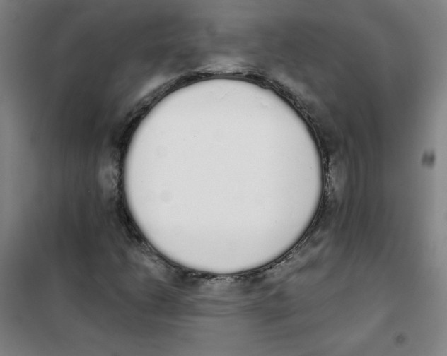 X0000101391206200808041009