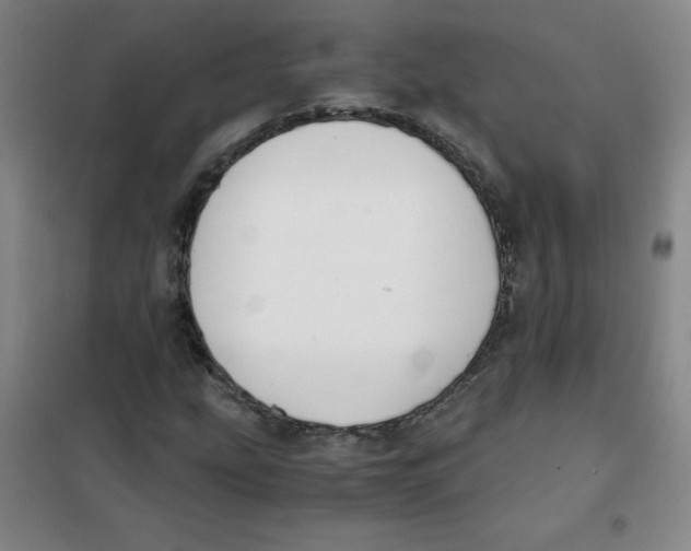 X0000101391207200808041009