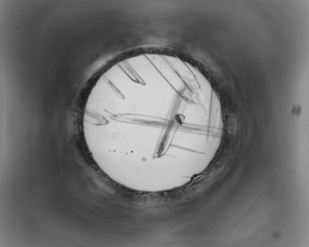 X0000101391208200808041009