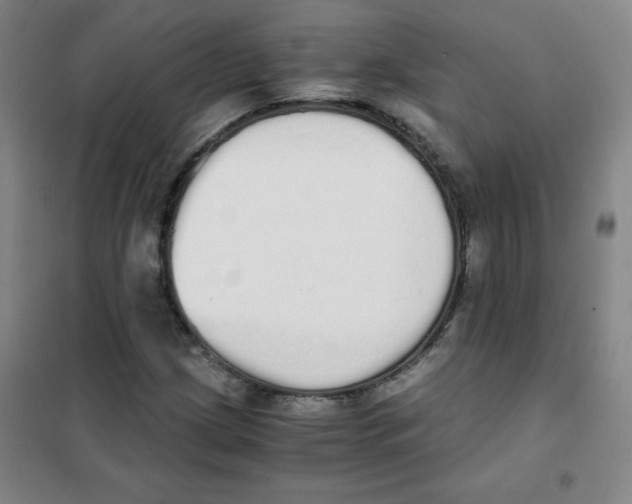 X0000101391209200808041009