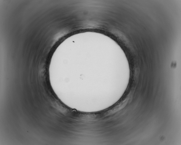 X0000101391210200808041009