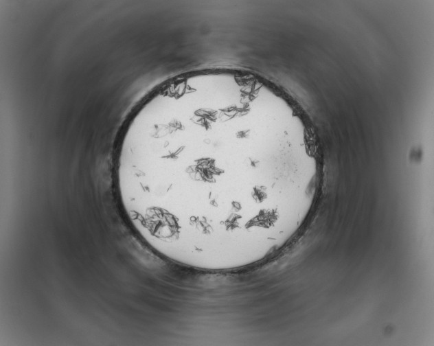 X0000101391212200808041009