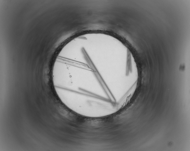 X0000101391213200808041009