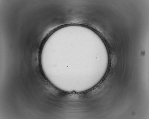 X0000101391214200808041009