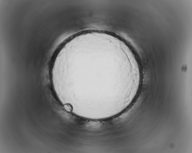 X0000101391215200808041009