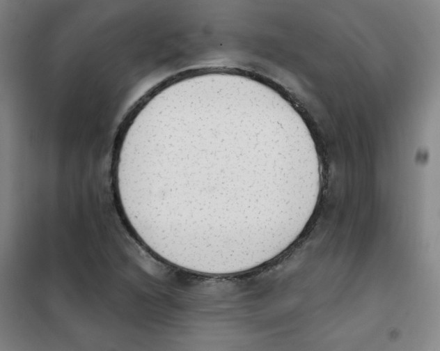 X0000101391216200808041009