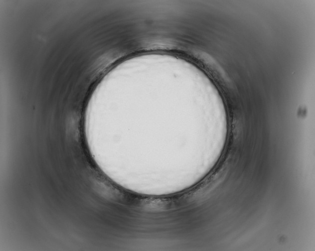 X0000101391217200808041009
