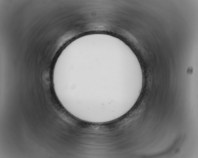 X0000101391218200808041009